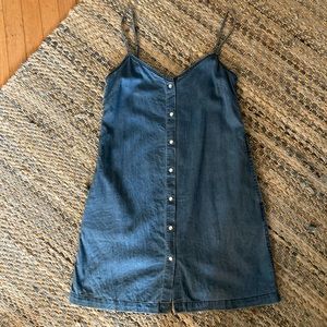 Wilfred Free Denim/Lyocell Summer Snap Front Dress